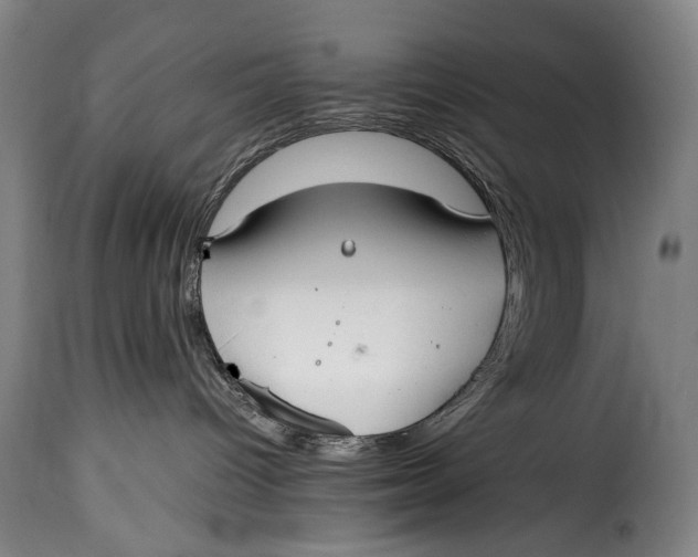 X0000115350096200911241203