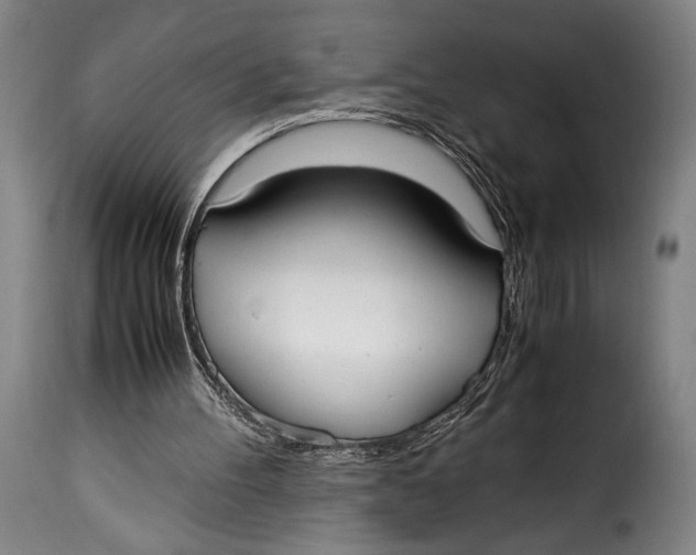 X0000115350100200911241202