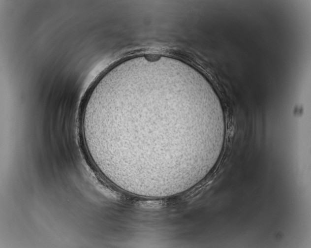 X0000115350102200911241202