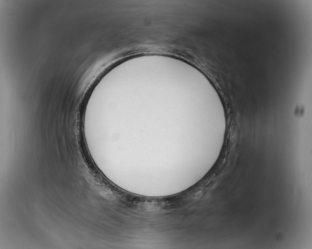 X0000115350103200911241202