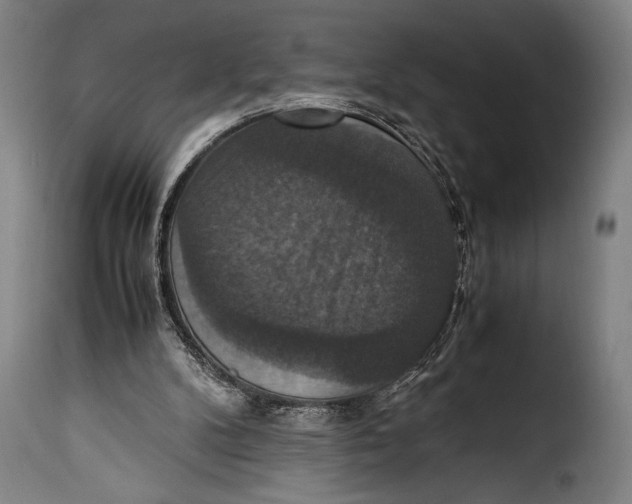 X0000115350104200911241202