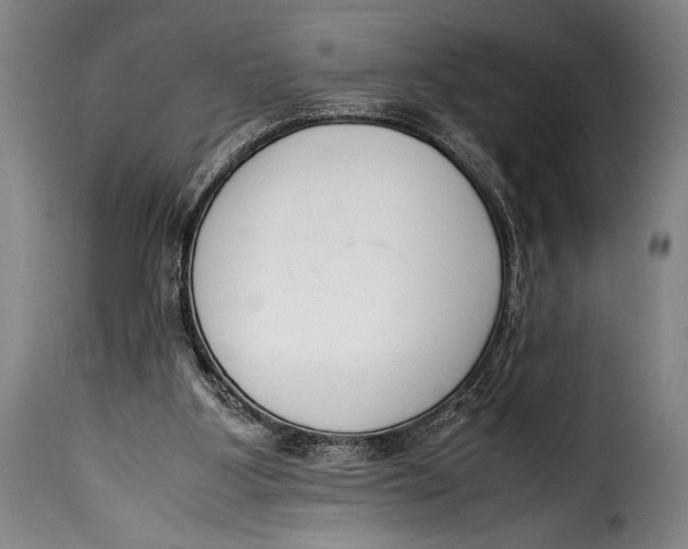 X0000115350107200911241202