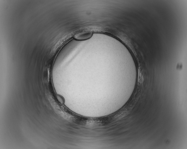 X0000115350109200911241202