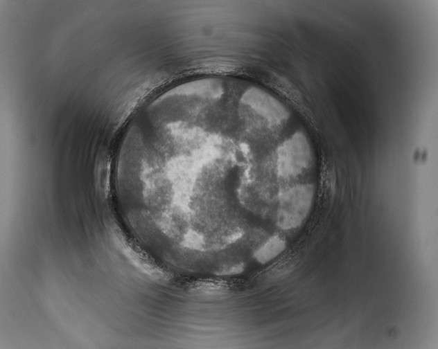 X0000115350110200911241202