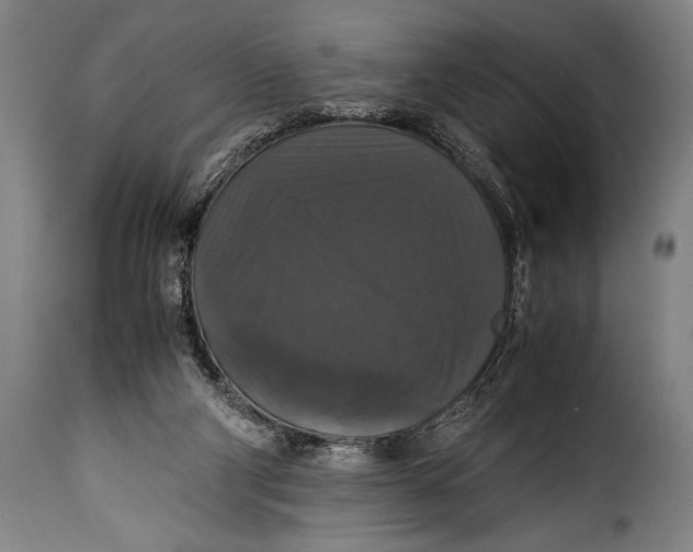 X0000115350114200911241202