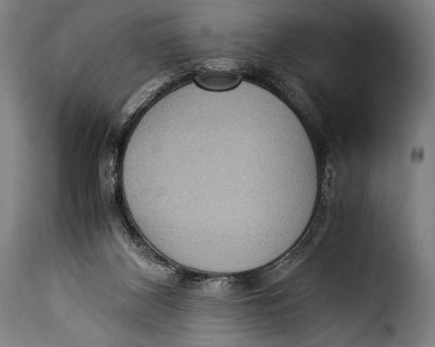X0000115350116200911241202