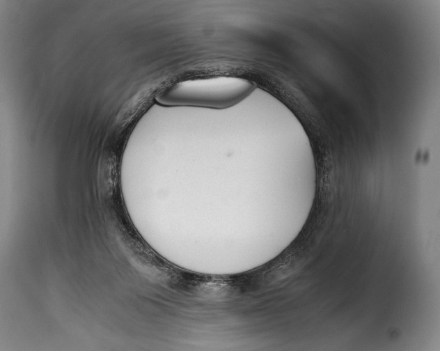 X0000115350119200911241202