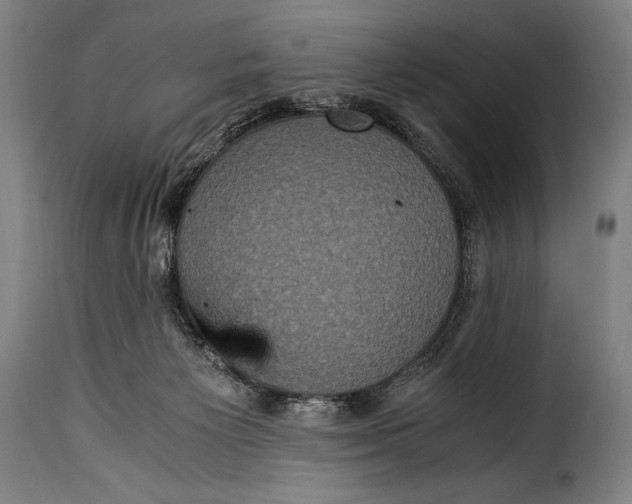 X0000115350125200911241202