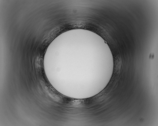 X0000115350126200911241202