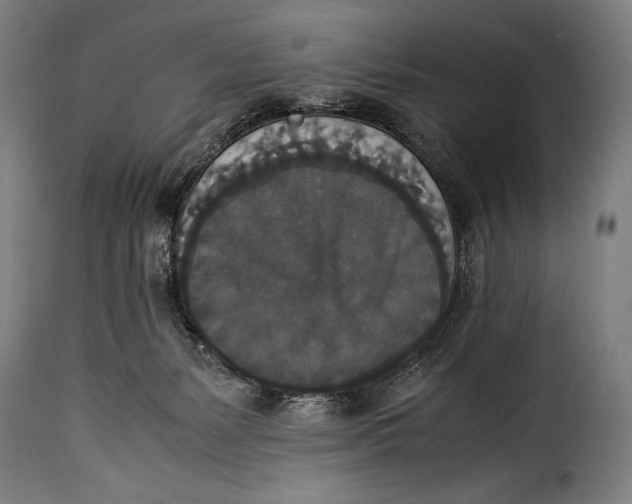 X0000115350127200911241202