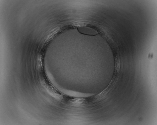 X0000115350128200911241202