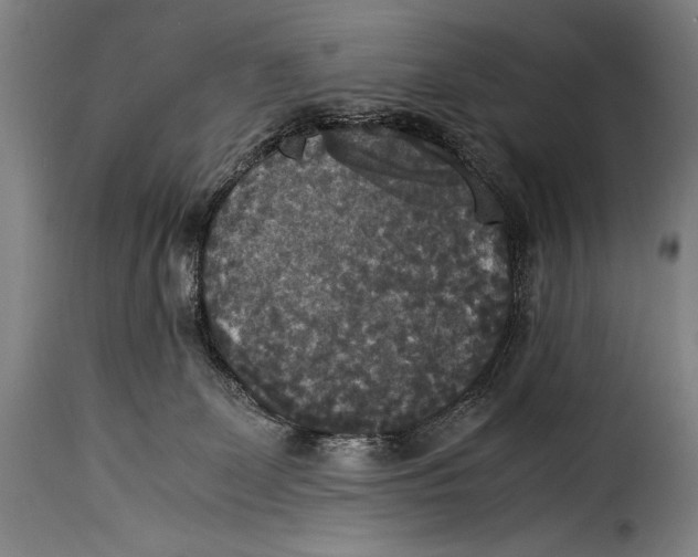X0000115350131200911241202