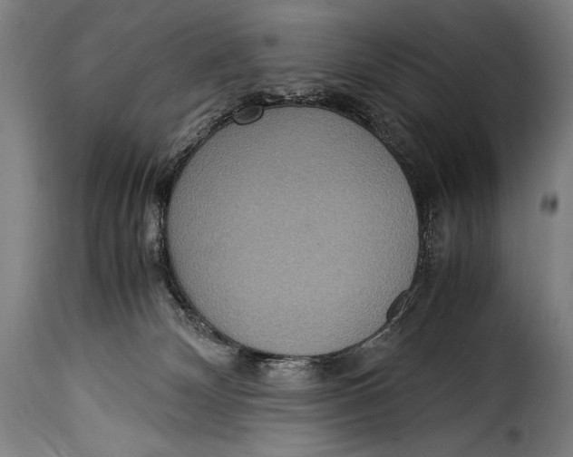 X0000115350132200911241202