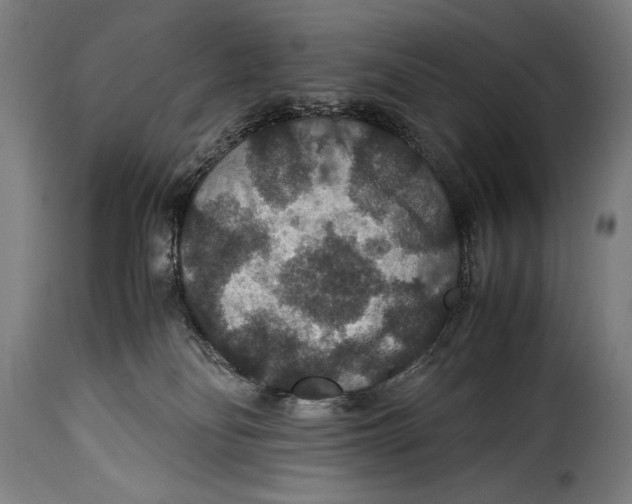 X0000115350134200911241202