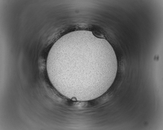 X0000115350135200911241202