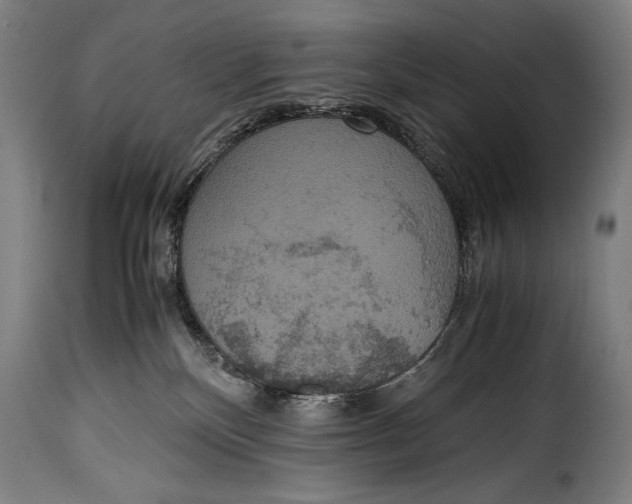 X0000115350136200911241202