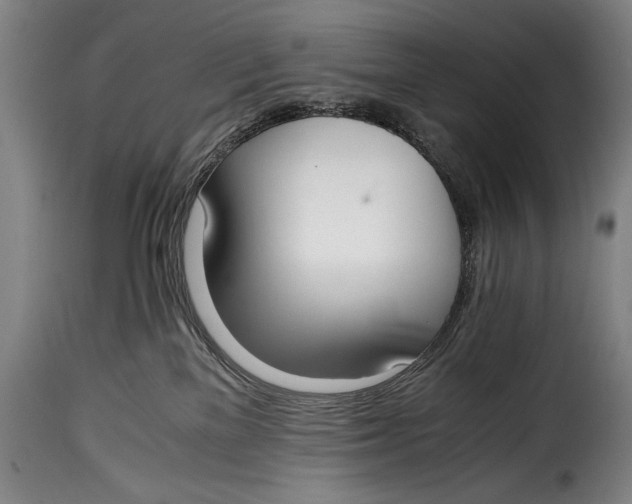 X0000115350137200911241202