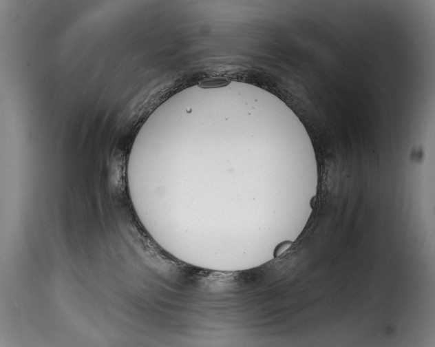 X0000115350138200911241202