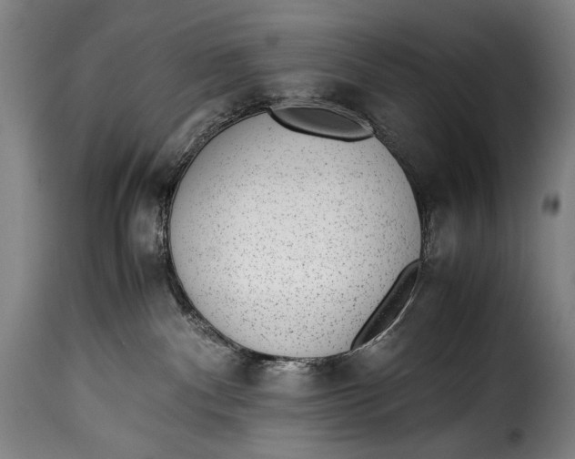 X0000115350140200911241202