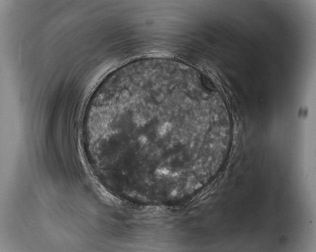 X0000115350145200911241201