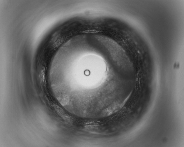 X0000115350146200911241201