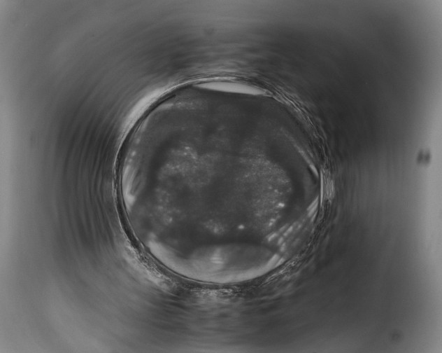 X0000115350147200911241201