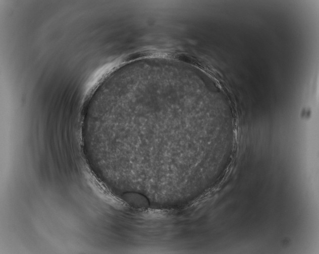 X0000115350149200911241201