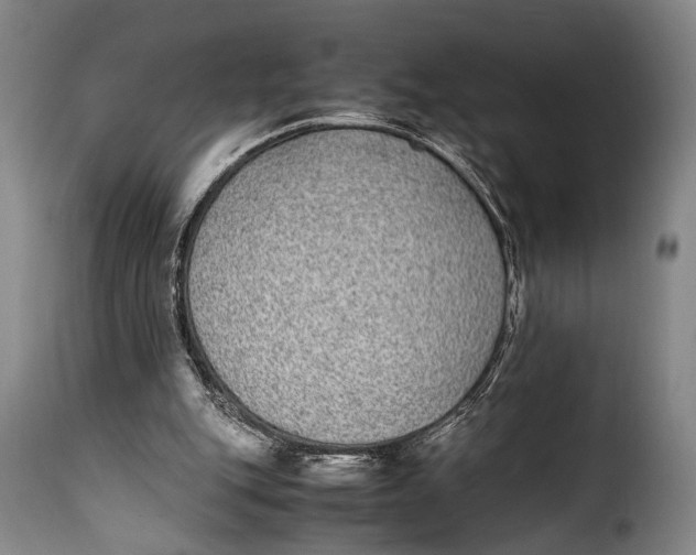 X0000115350151200911241201