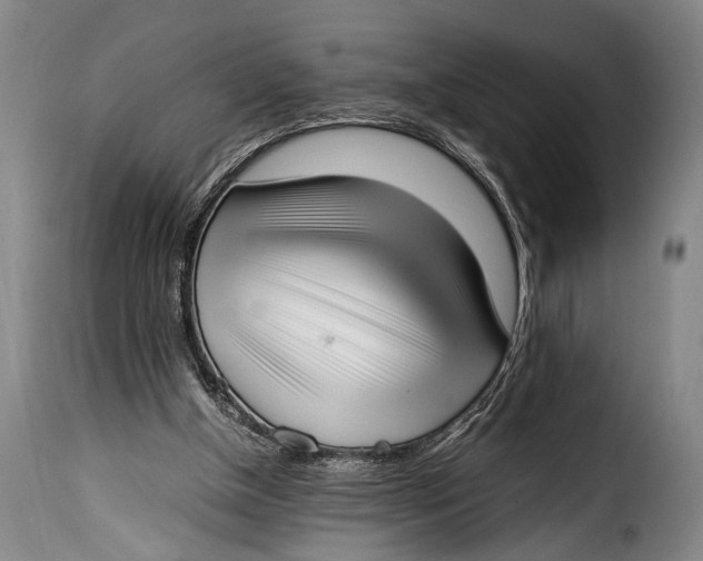 X0000115350154200911241201