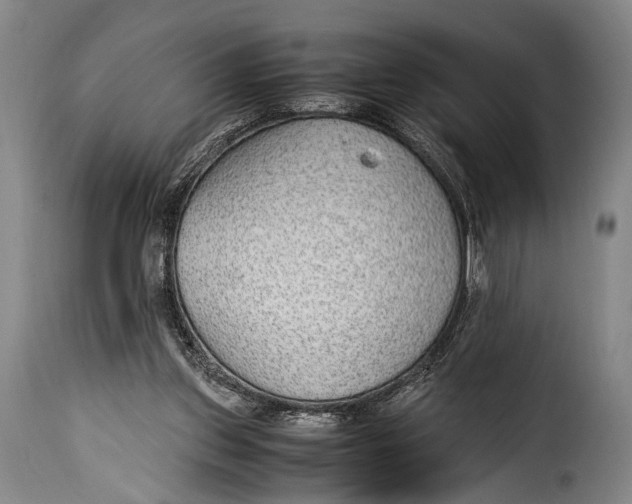 X0000115350157200911241201