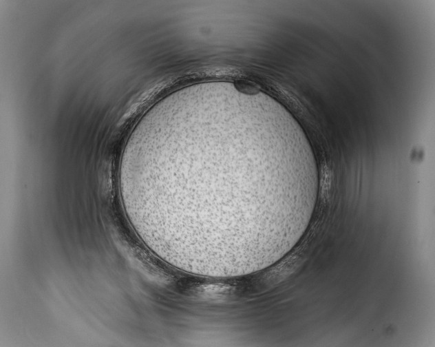 X0000115350158200911241201