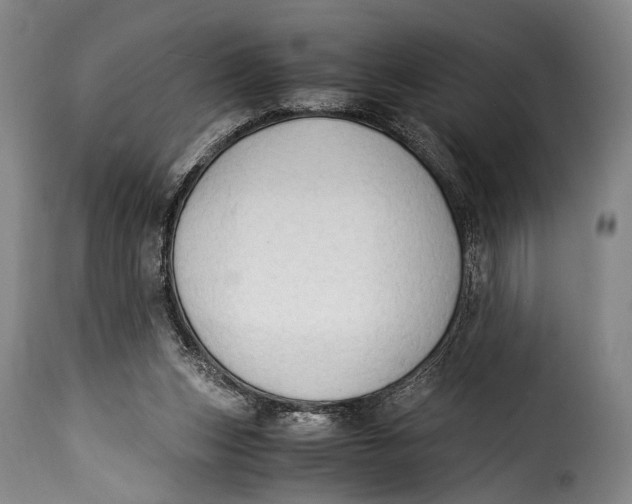 X0000115350159200911241201