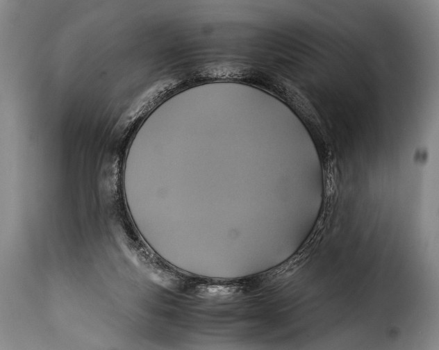 X0000115350163200911241201