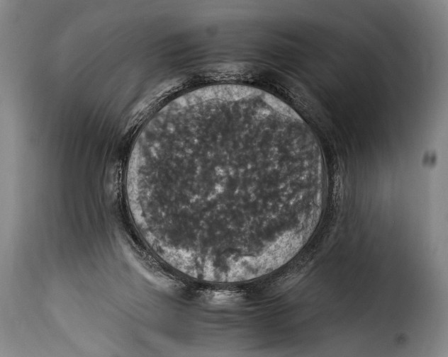 X0000115350165200911241201