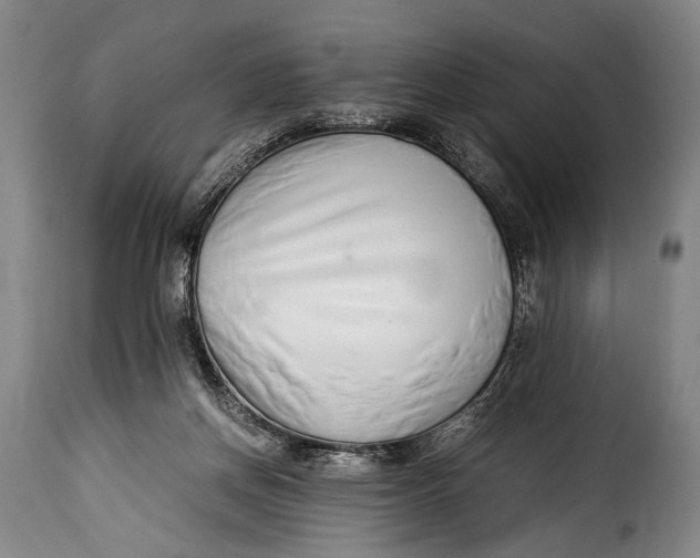 X0000115350166200911241201