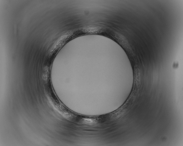 X0000115350167200911241201