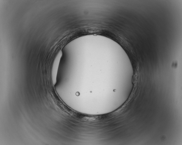 X0000115350170200911241201