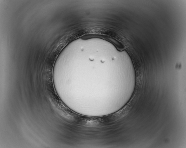 X0000115350175200911241201