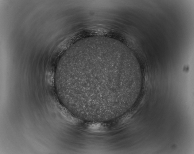 X0000115350177200911241201