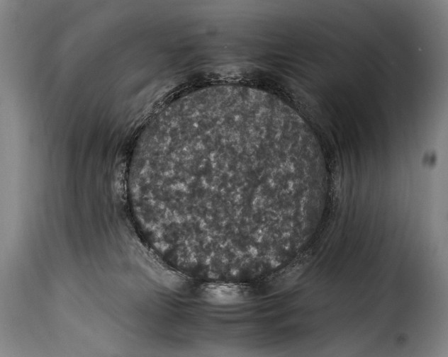 X0000115350181200911241201