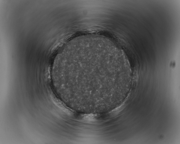 X0000115350182200911241201