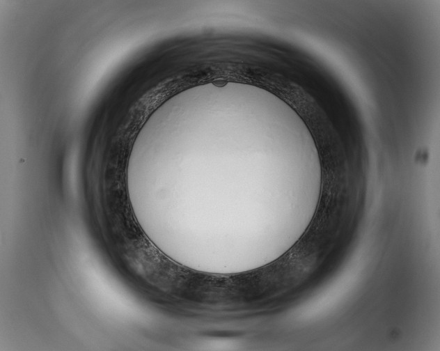 X0000115350189200911241201