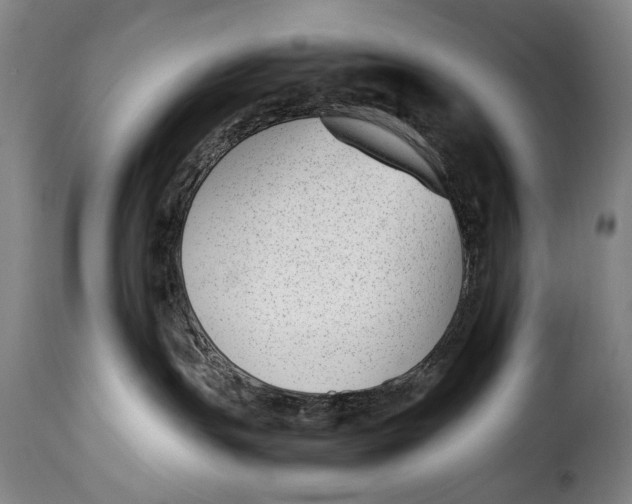 X0000115350191200911241201