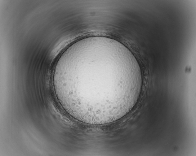 X0000115350194200911241201