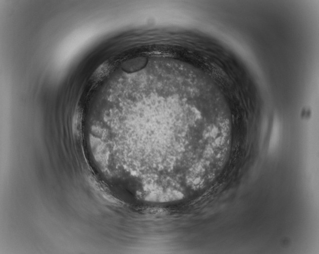X0000115350195200911241201