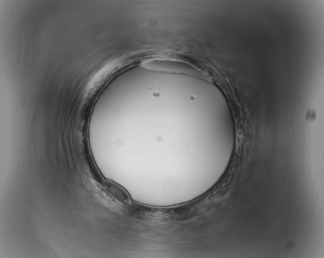 X0000115350197200911241201