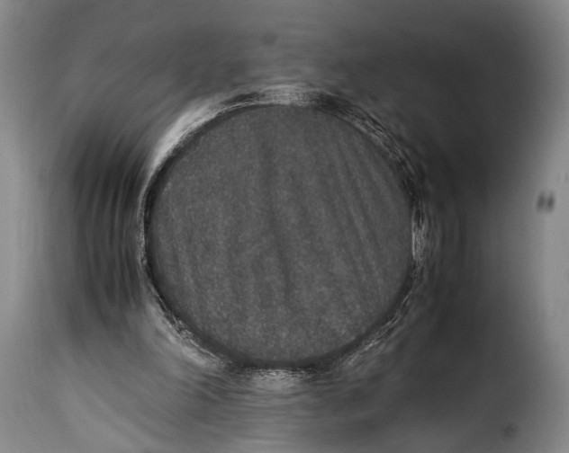 X0000115350198200911241201
