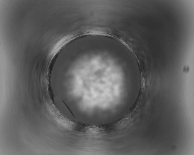 X0000115350199200911241201