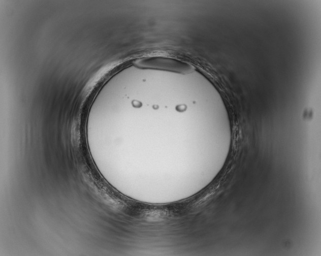 X0000115350200200911241201