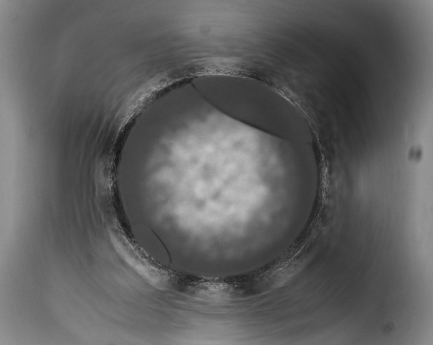 X0000115350203200911241201